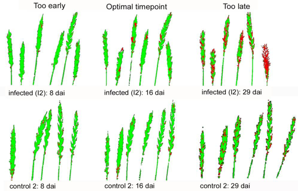 Sensors 11 03765f5 1024