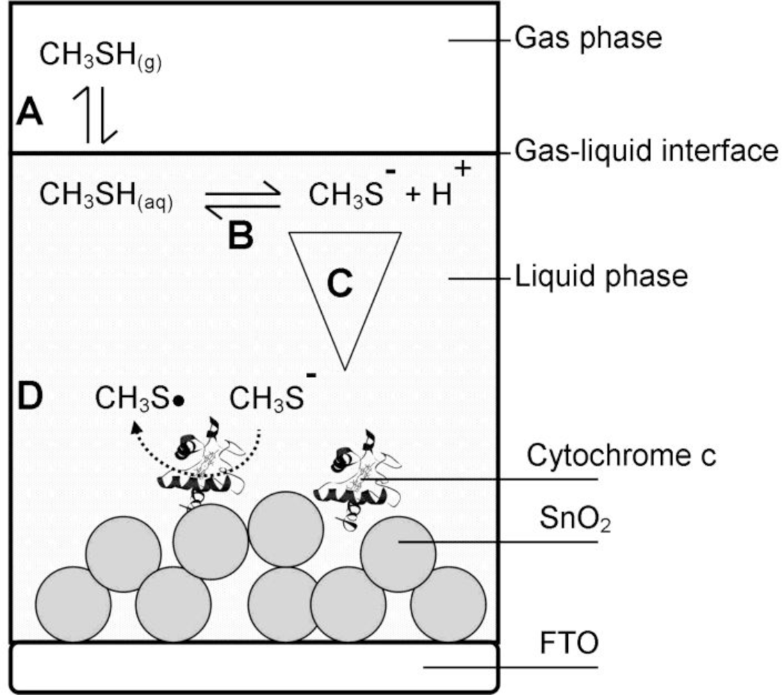 Sensors 11 05968f2 1024