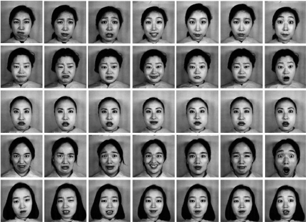 Examples Of Facial Expressions 21