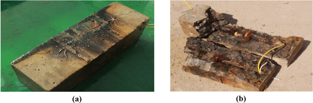 Sensors 11 10798f24 1024