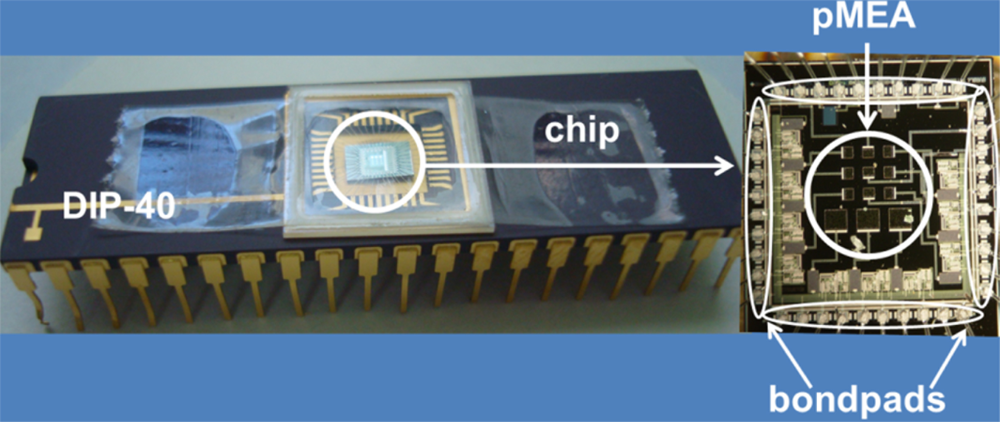 Sensors 11 10940f11 1024