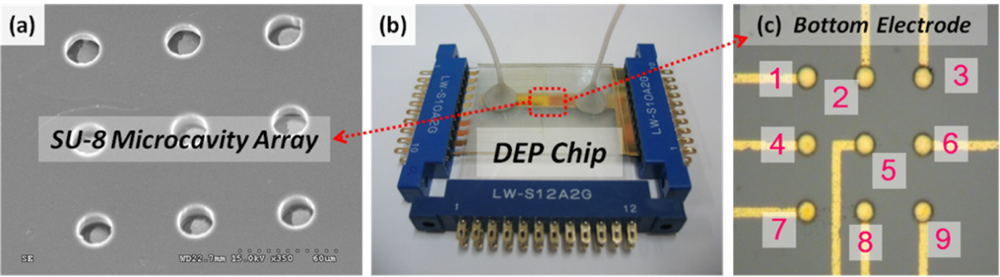 Sensors 11 11021f7 1024