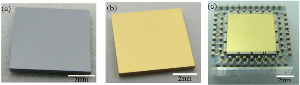 Sensors 11 11206f10 1024