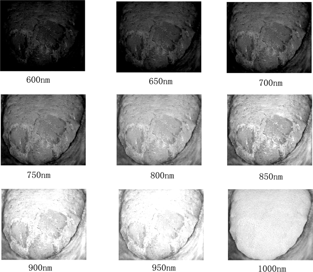 Sensors 12 00162f4 1024