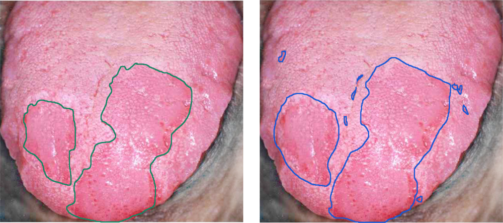Sensors 12 00162f7 1024