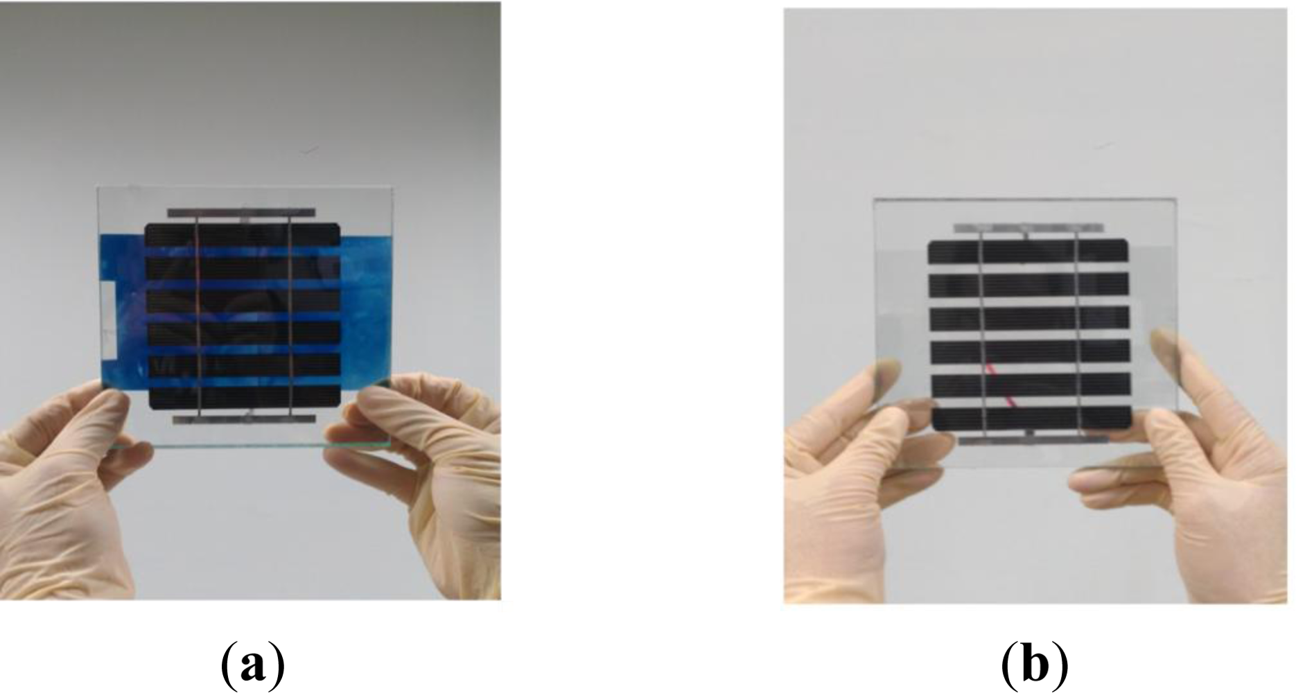 Sensors 12 00359f5 1024