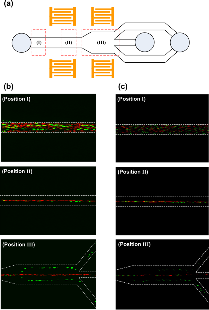 Sensors 12 00905f8 1024