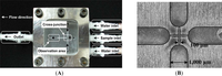 Sensors 12 01455f2a 200