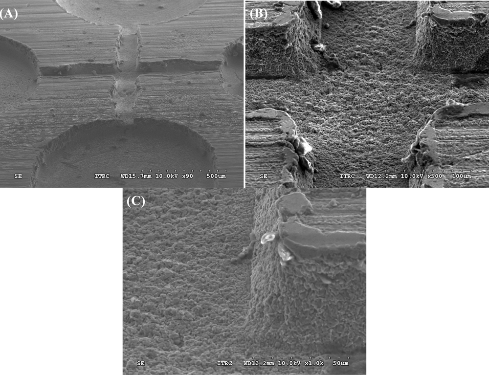 Sensors 12 01455f3 1024