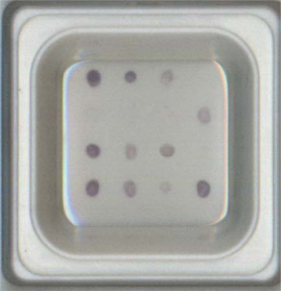 Sensors 12 02710f2 1024
