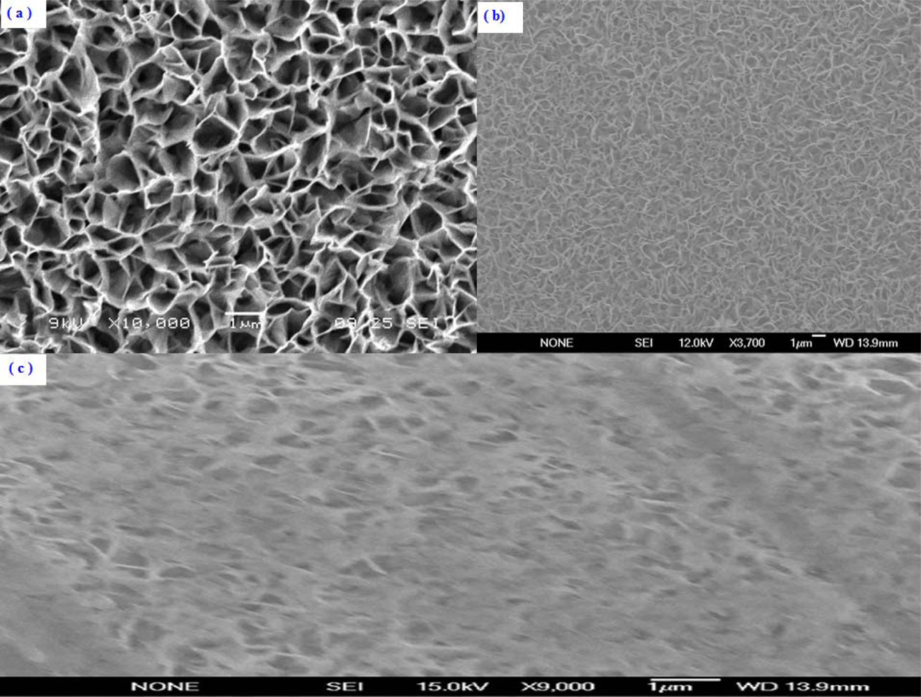 Sensors 12 02787f2 1024