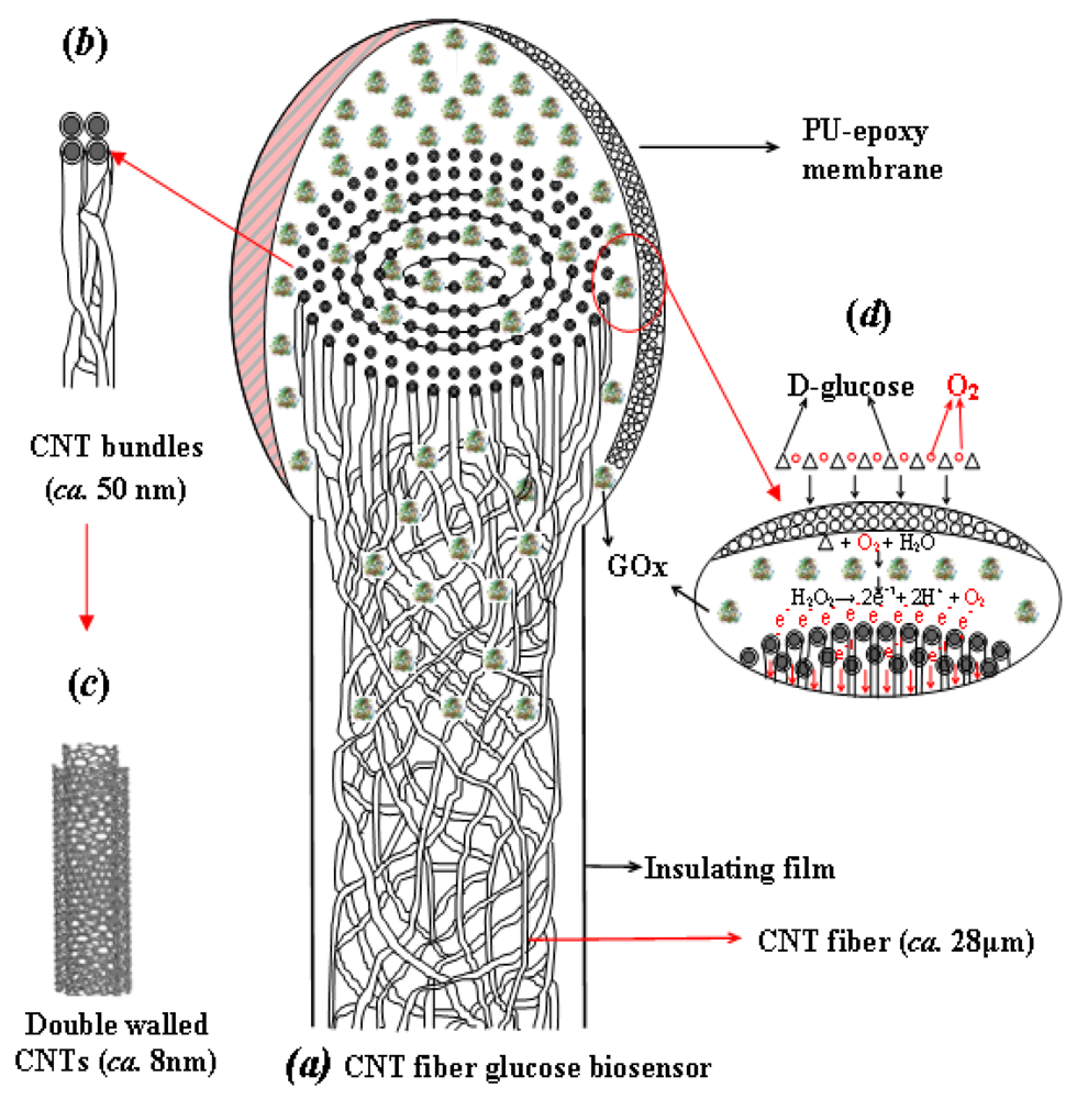 Sensors 12 05996f5 1024
