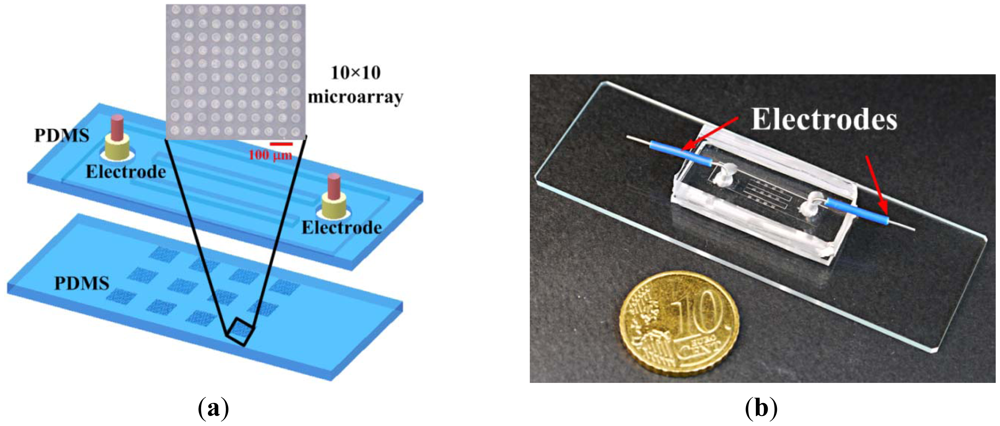 Sensors 12 06967f1 1024