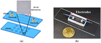 Sensors 12 06967f1 200