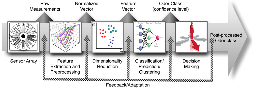 Sensors 12 08055f1 1024