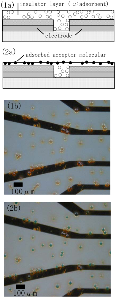 Sensors 12 08405f3 1024