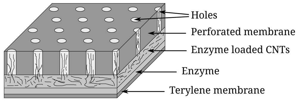 Sensors 12 09146f1 1024