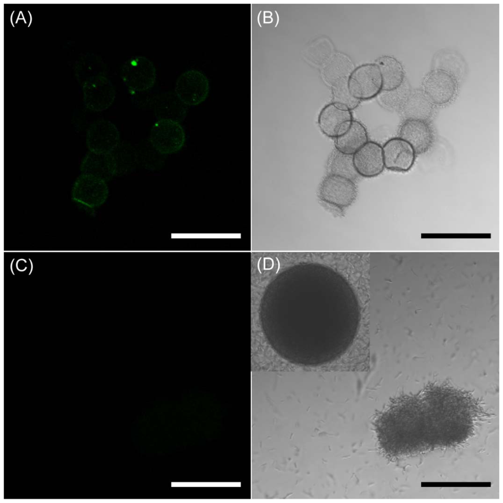 Sensors 12 10136f5 1024