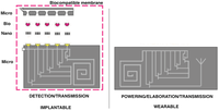 Sensors 12 11013f18 200