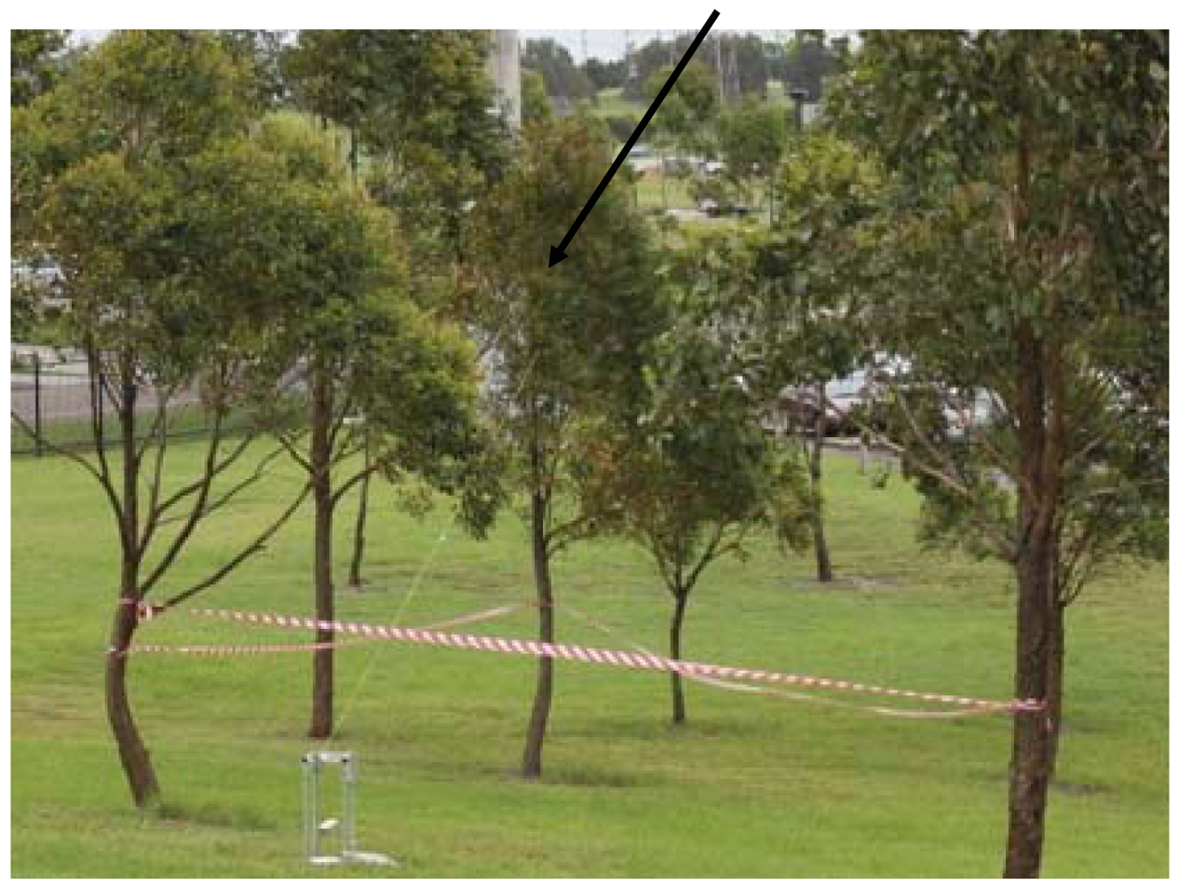 Sensors 12 12110f2 1024