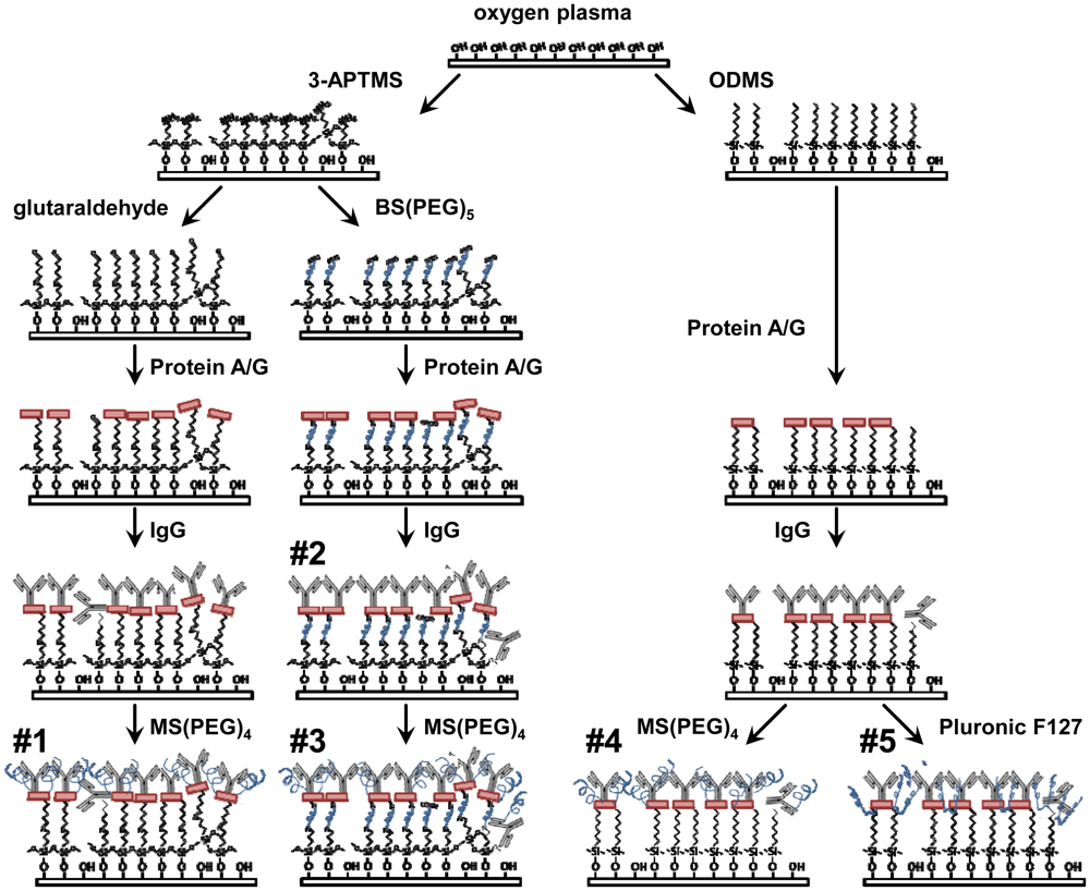 Sensors 12 12317f1 1024