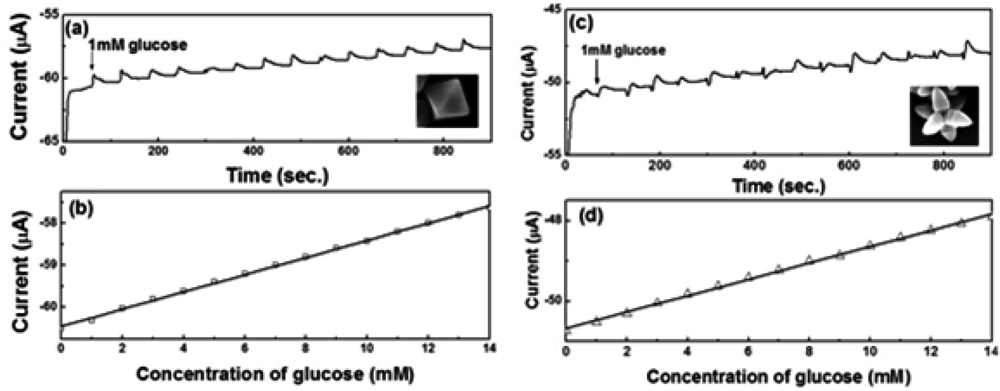 Sensors 12 13019f8 1024