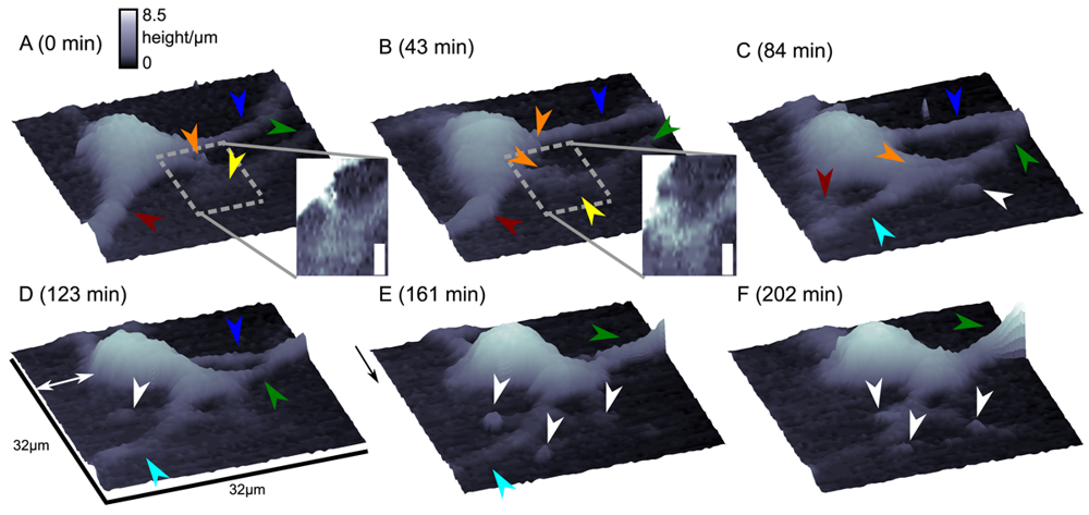 Sensors 12 14983f5 1024