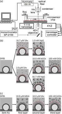 Sensors 12 17262f3 200