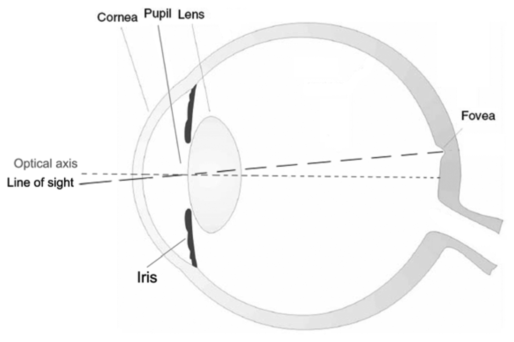 Sensors 13 00334f1 1024
