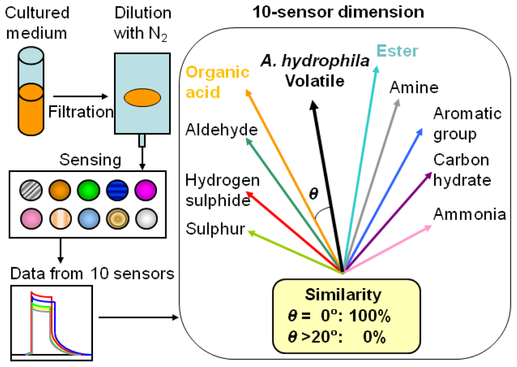 Sensors 13 00736f1 1024