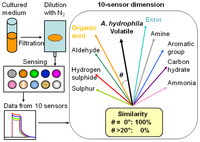 Sensors 13 00736f1 200