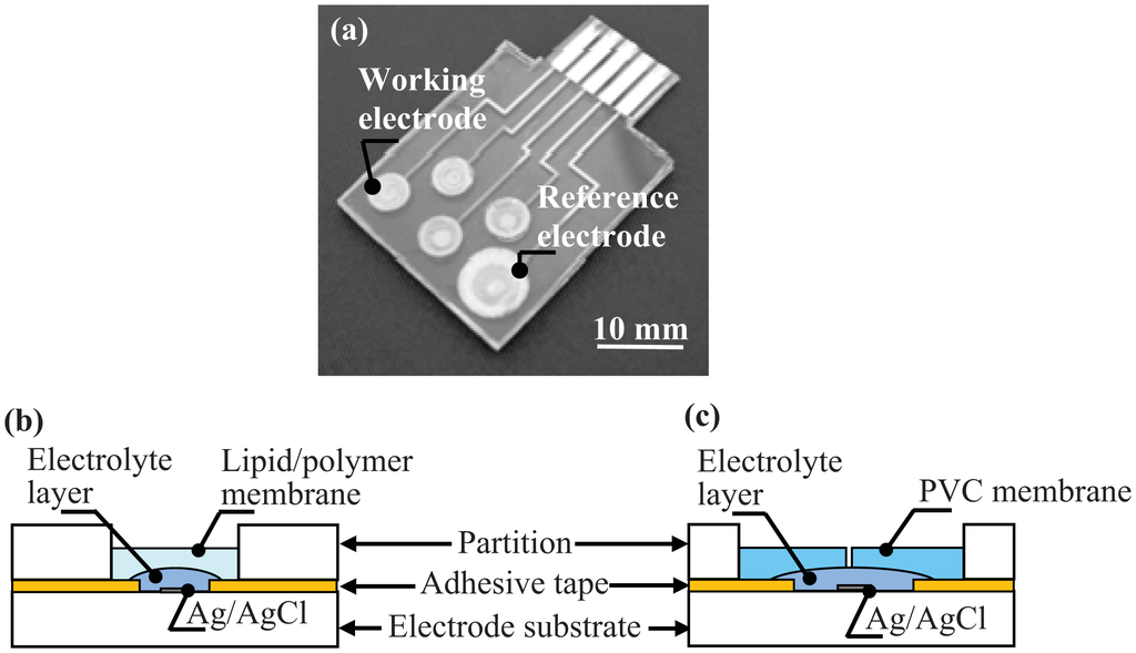 Sensors 13 01076f1 1024