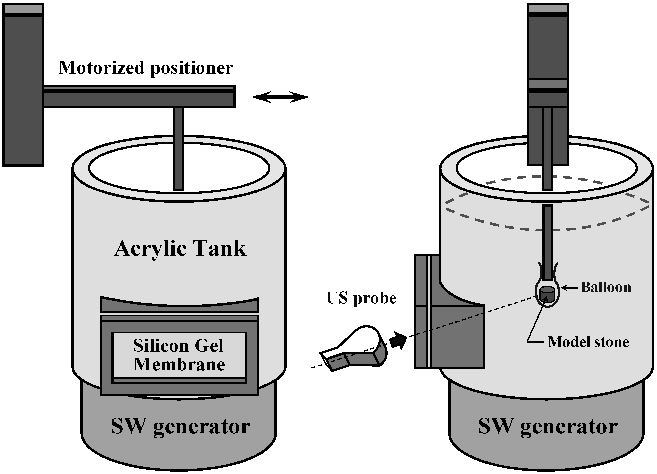 Sensors Special Issue Medical & Biological Imaging