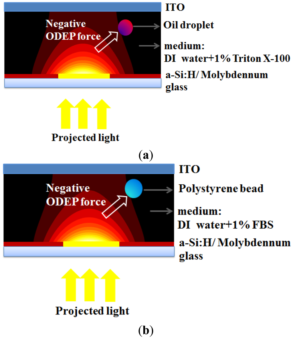 Sensors 13 01965f1 1024