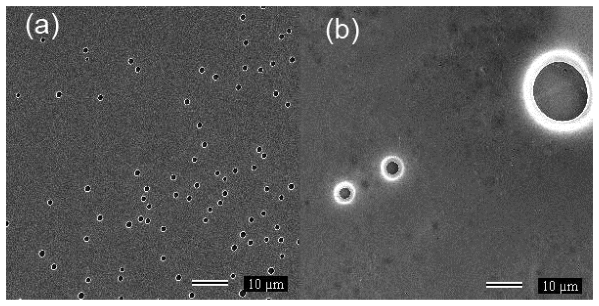 Sensors 13 02023f3 1024