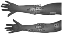 Sensors 13 02613f4 200