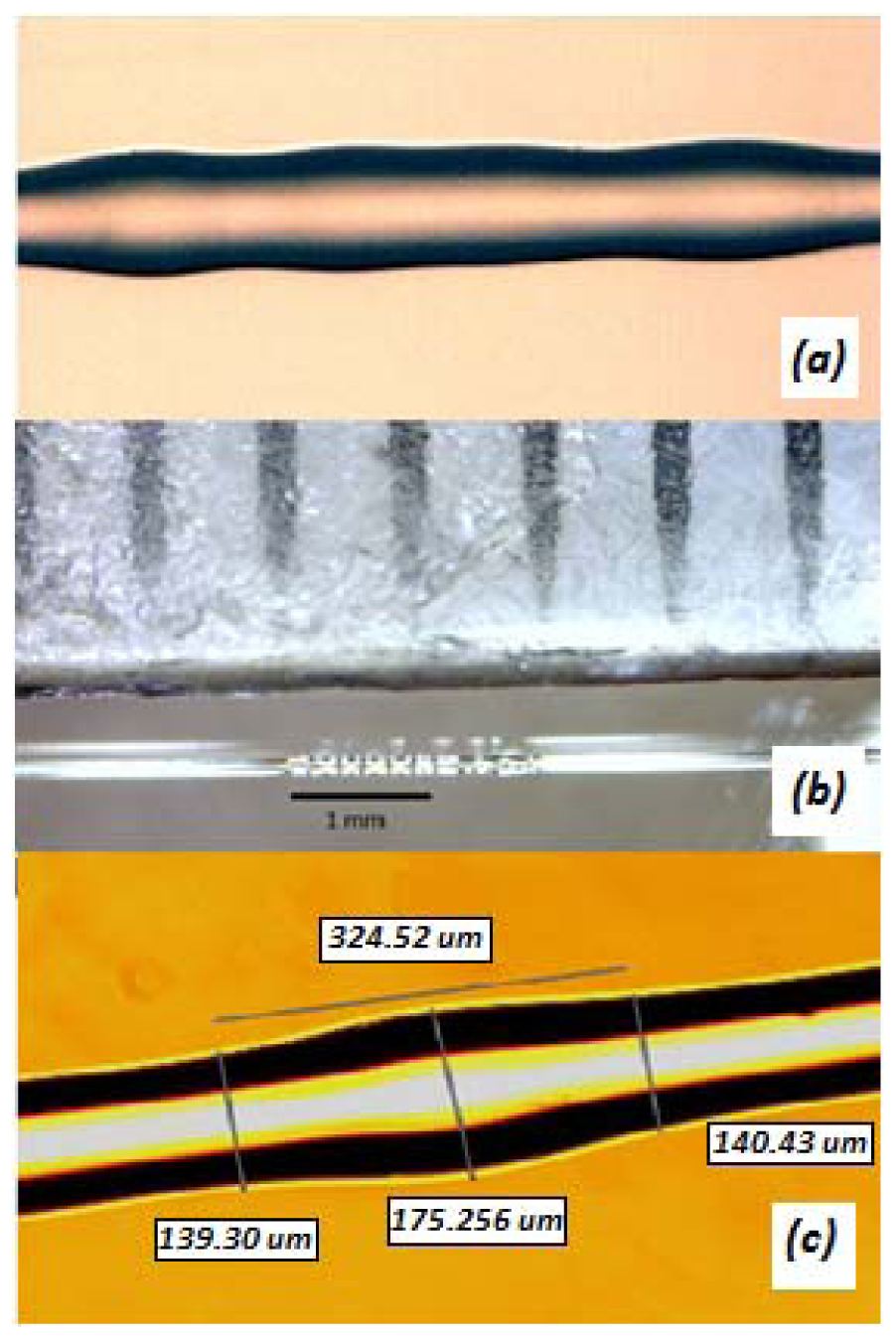 Sensors 13 03028f2 1024