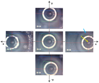Sensors 13 03753f10 200