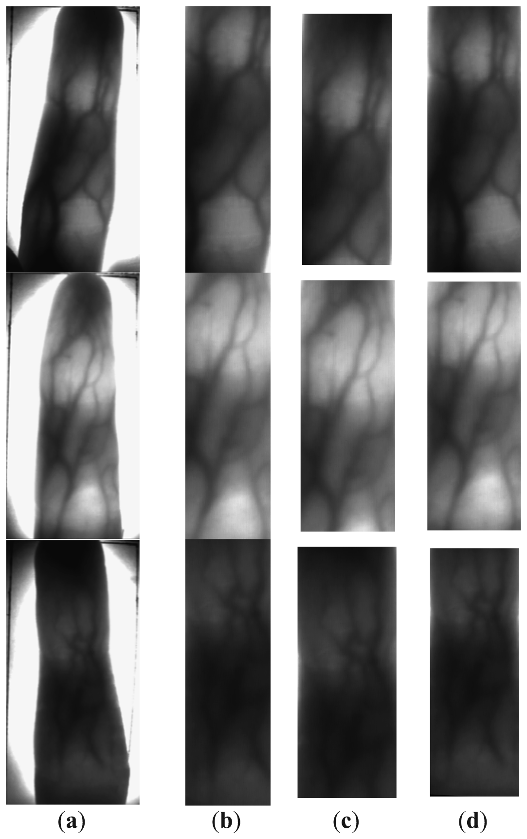 Sensors 13 03799f10 1024