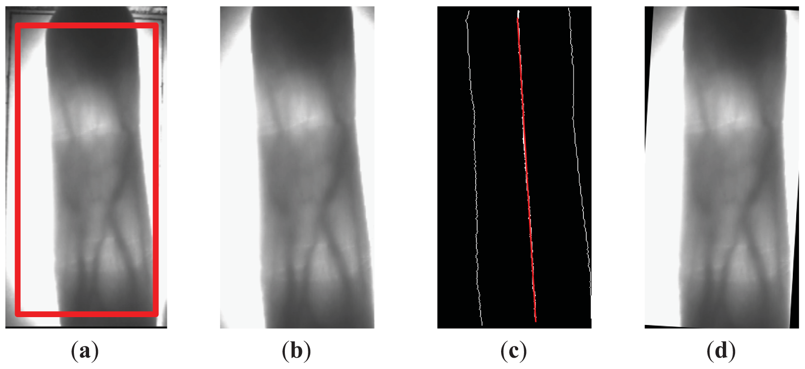 Sensors 13 03799f2 1024
