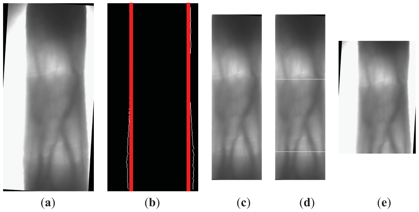 Sensors 13 03799f5 1024