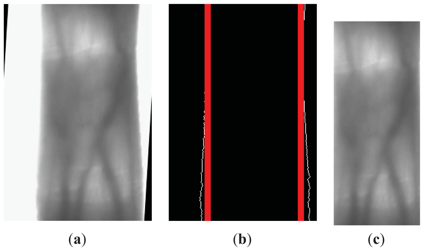 Sensors 13 03799f6 1024
