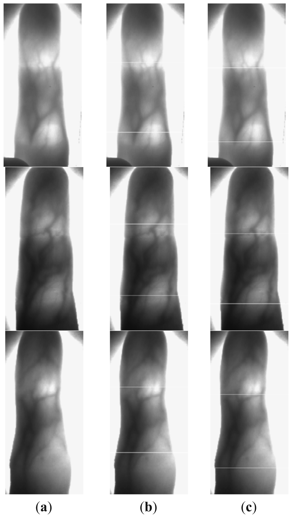 Sensors 13 03799f8 1024