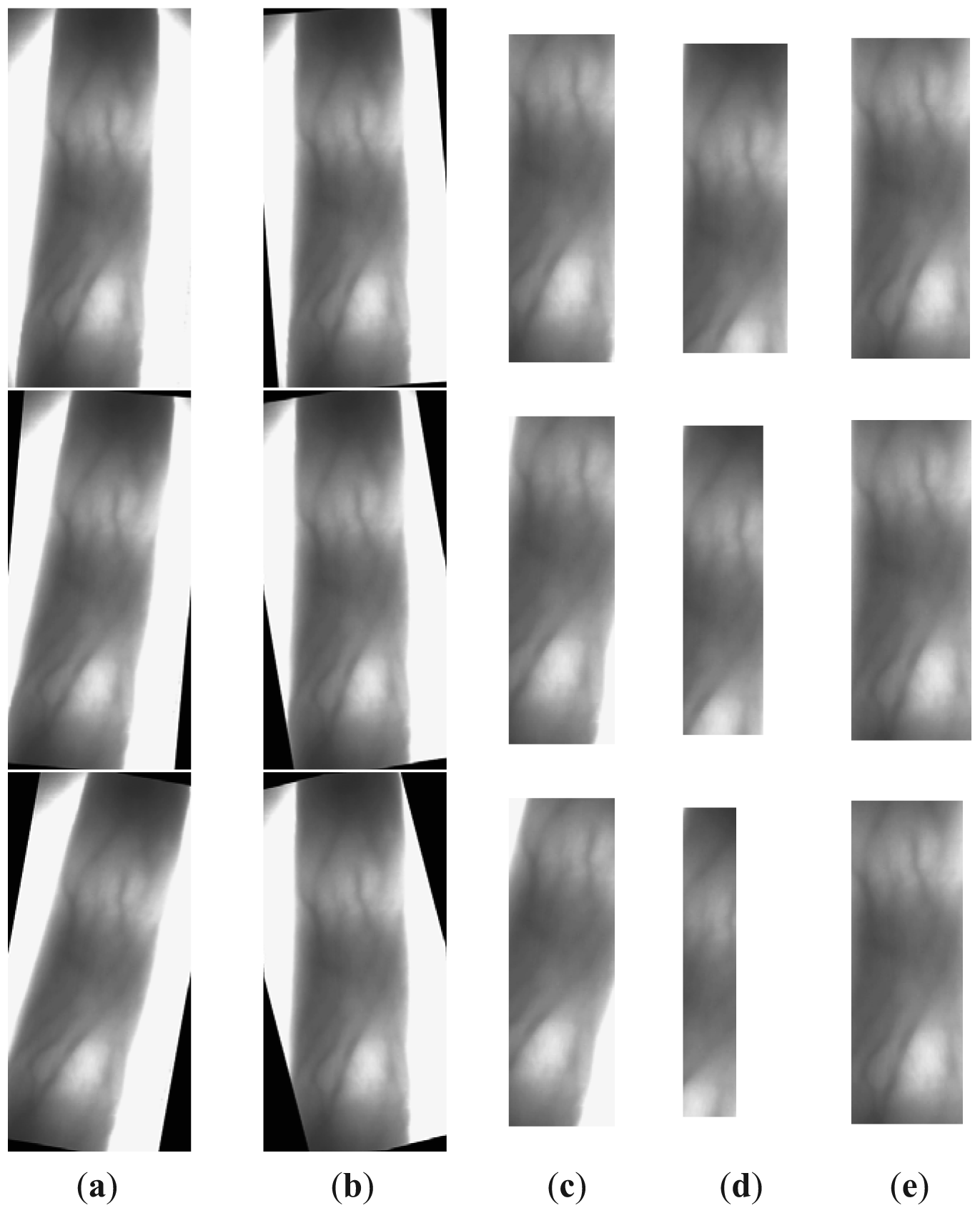 Sensors 13 03799f9 1024