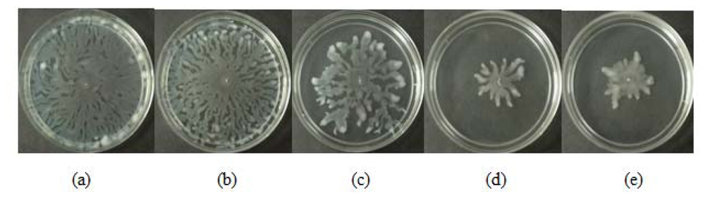 Sensors 13 03975f3 1024