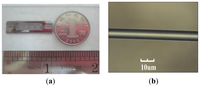 Sensors 13 03986f3 200