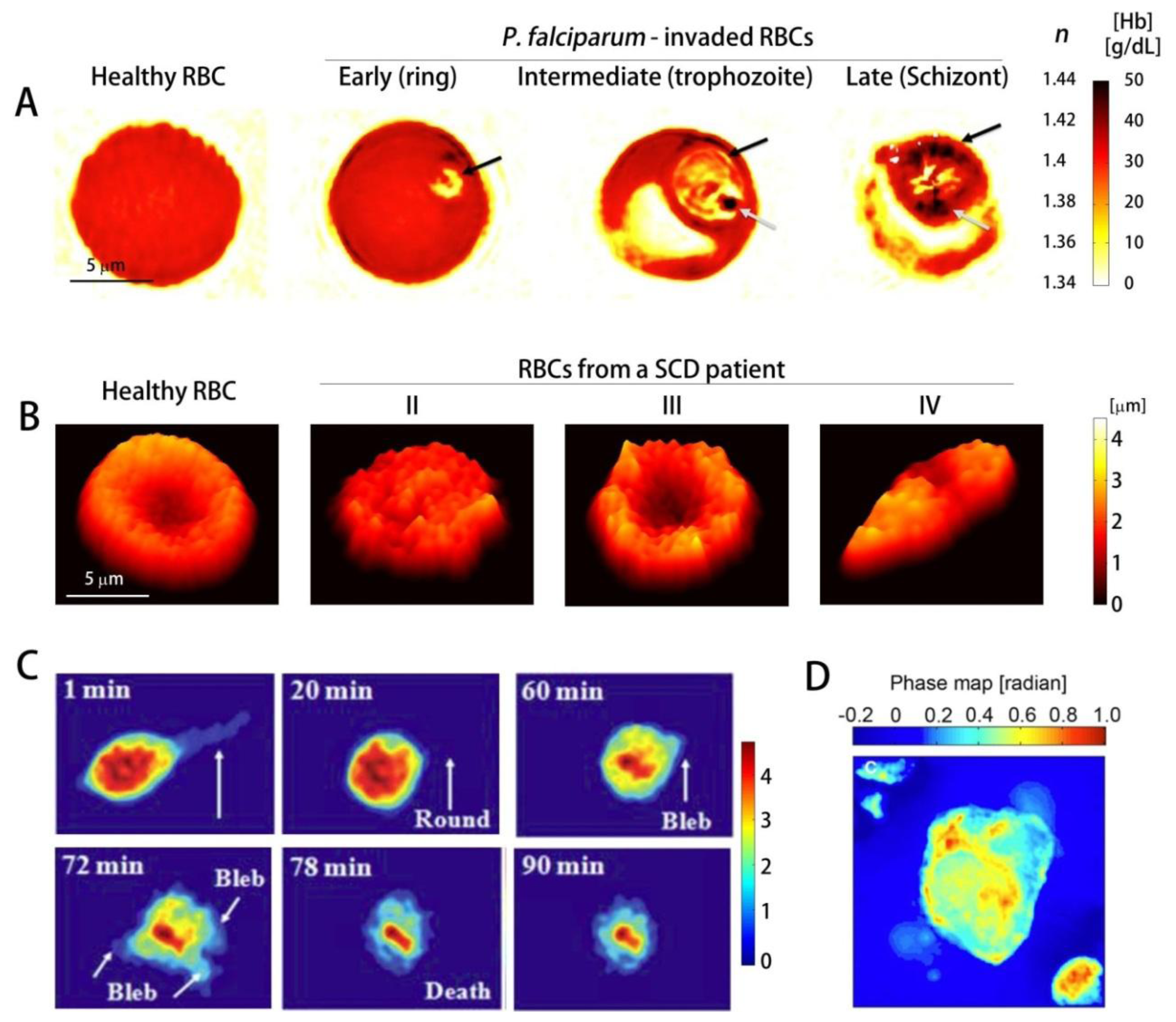 Sensors 13 04170f4 1024