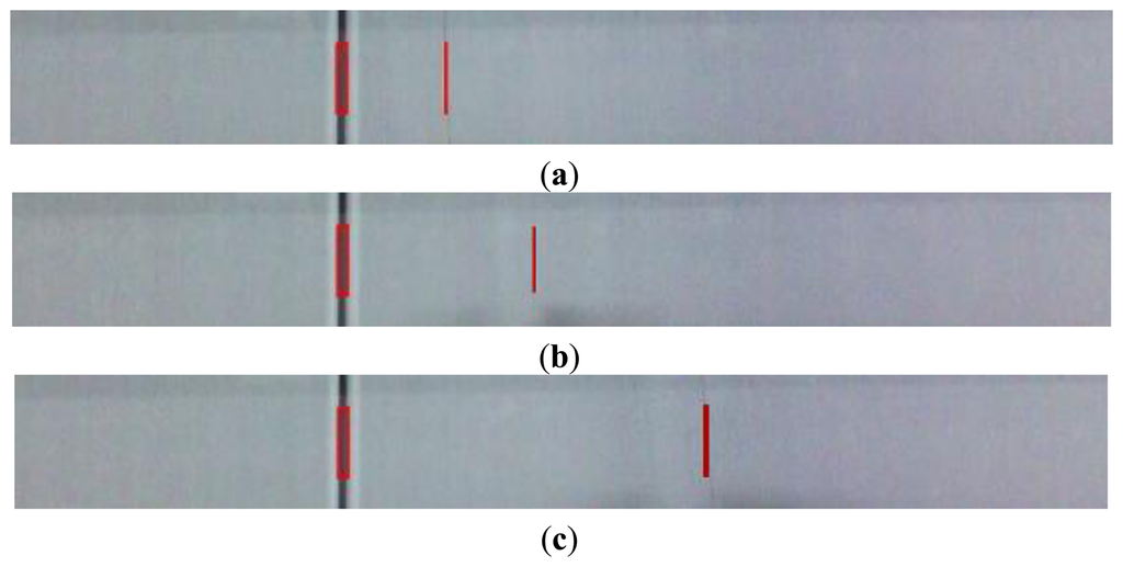 Sensors 13 04659f16 1024