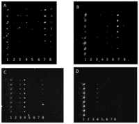 Sensors 13 05737f3 200