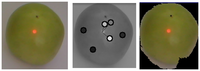 Sensors 13 06109f19 200